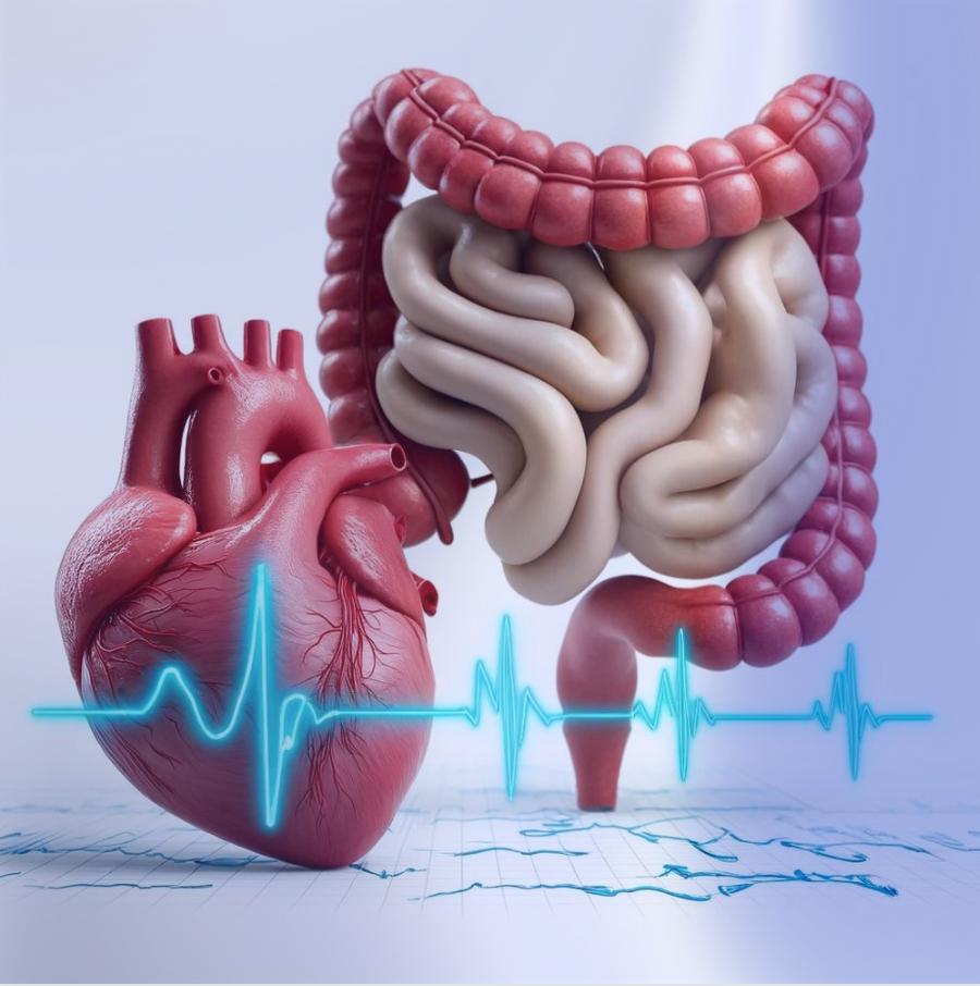 Biomarcatori HRV: Una Finestra sulla Salute, l'Infiammazione e il Microbiota