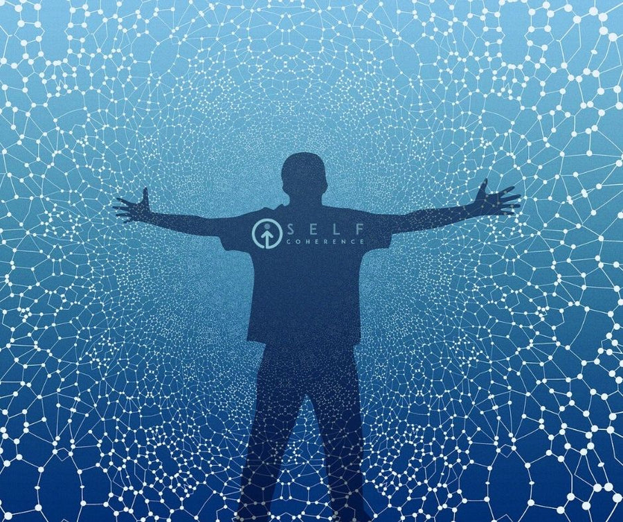 Il corpo è un immenso network SIPNEI