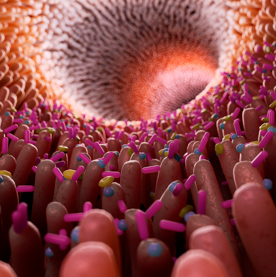 Il tuo Microbiota Intestinale: Un Esercito Invisibile per un Corpo Sano e una Mente Felice!